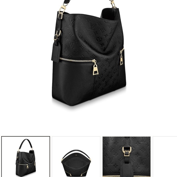 Lou sis Vuitton MULE bag
